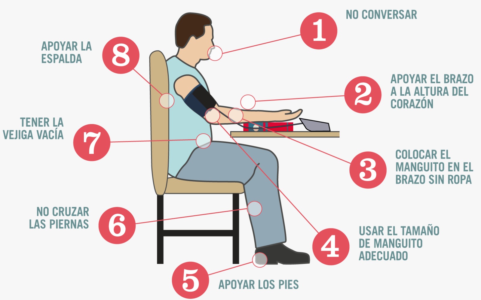 Infografía: los 8 pasos para tomar la presión arterial correctamente
                  — no conversar, apoyar el brazo a la altura del corazón, colocar el
                  manguito sin ropa, usar el tamaño adecuado, apoyar los pies, no cruzar
                  las piernas, tener la vejiga vacía y apoyar la espalda
